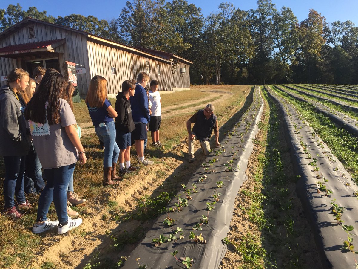 Great 8th Grade Ag day yesterday at Bernie’s Berries in Greensboro. #cte #ageducation #ffa