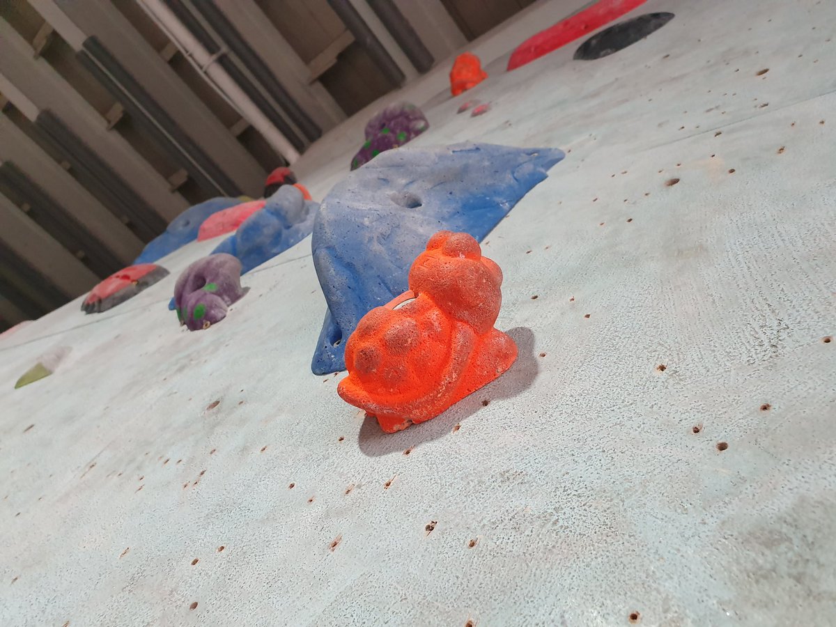 JasonRCross's tweet photo. I never noticed, some of the holds at the boldering place I go to are Tortoises. #boldering #climbing https://t.co/1Ovd7tec25