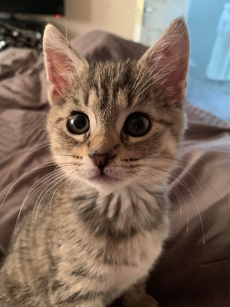 Someone came to say good morning