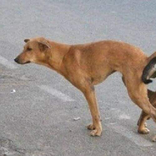 apequenapoc's tweet photo. É pedir muito ter alguém pra usar essas metadinhas?! https://t.co/StjUJKGtry