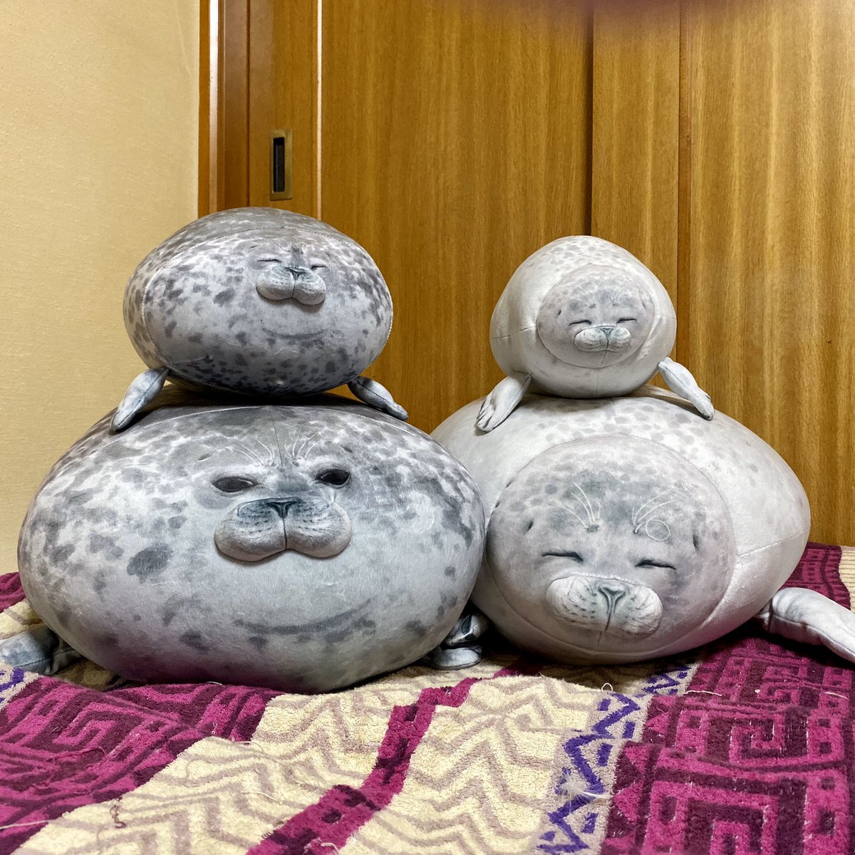 お疲れ様です🎶 今日のやってもうた😅 #海遊館 #kaiyukan