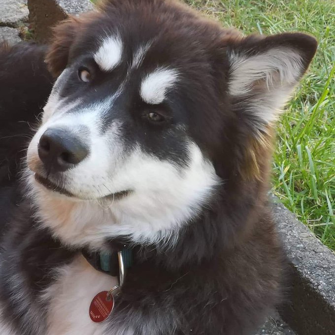 @freakkybbygirl https://t.co/NGEuBO8Cp5<a class="tags" target="_blank" title="On Twitter" href="/?out=eyJ0eXAiOiJKV1QiLCJhbGciOiJIUzUxMiJ9.eyJpYXQiOjE3MjY2NDQ1MjYsImlzcyI6InR3cG9ybnN0YXJzLmNvbSIsIm5iZiI6MTcyNjY0NDUyNiwiZXhwIjoxNzU4MTgwNTI2LCJyZWRpcmVjdF91cmwiOiJodHRwczovL3R3aXR0ZXIuY29tL2ZyZWFra3liYnlnaXJsIn0.sF8VrUvdtNwdIeakBF1pOFdVhXcmeGjngukebPpZyOELzhUlXk6zzT53M25oxVeuLVZg1TrvP9ZZJWGF4RKg6w">@freakkybbygirl</a>