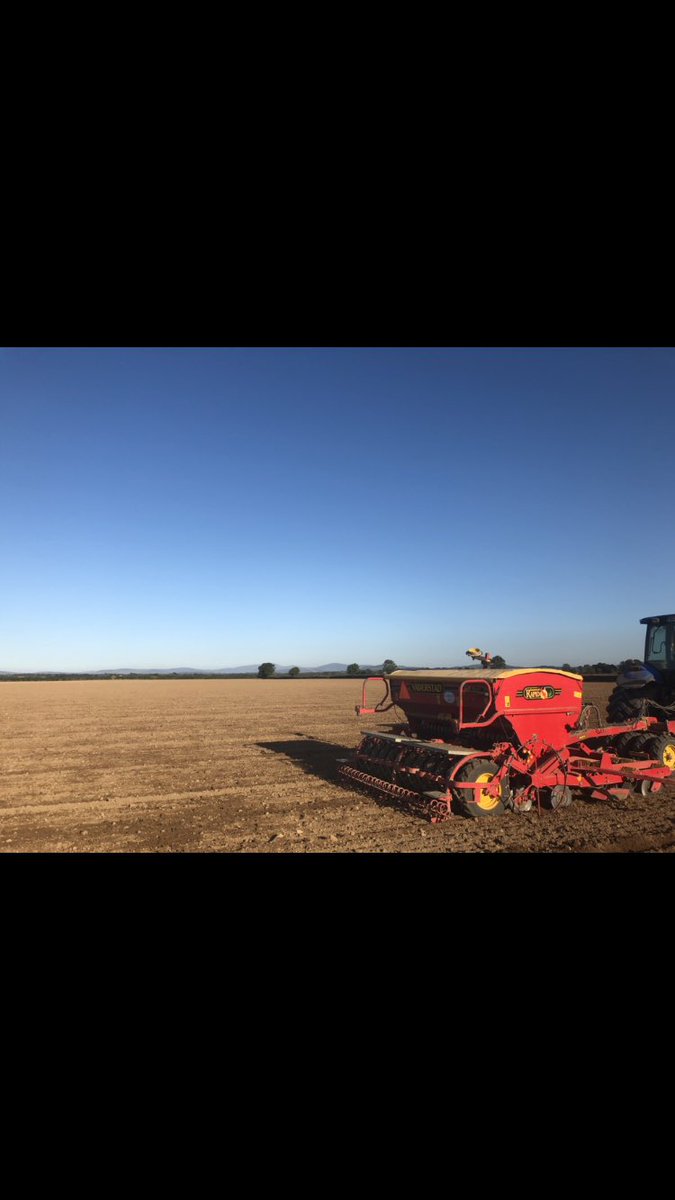 Maplehurst Farm tweet media