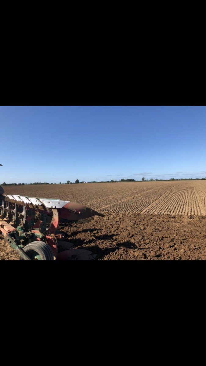 Maplehurst Farm tweet media