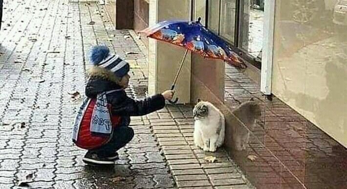 ChampneyLisa's tweet image. #ElizabethWarrenHasAPlanFor Climate change.