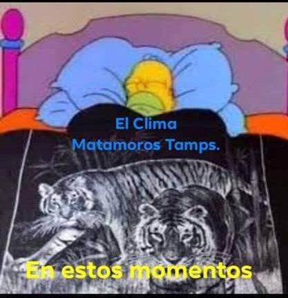 PecinaJuany's tweet photo. Buen día !!!!
Ya llegó el frio😅....
Ahora si a vender 🌨️🧣🧥
#MilanoTeDalamano https://t.co/fK5ou7nSQa