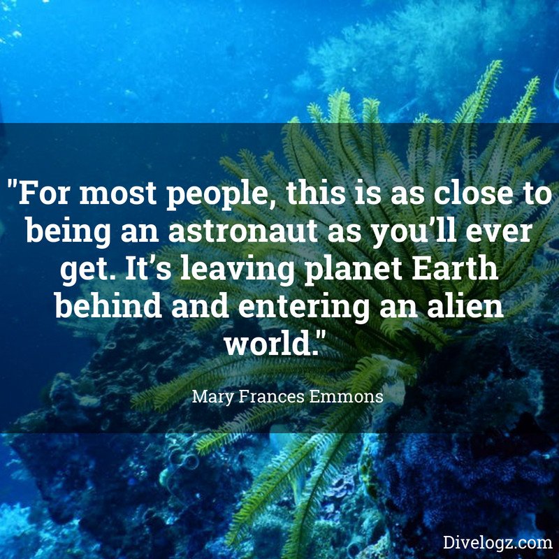 DiveLogz's tweet image. #scubadiving it's like another planet down there 👽