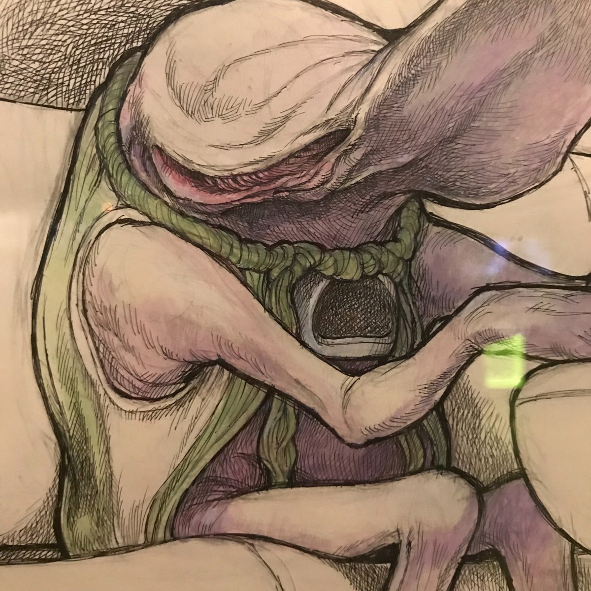 ロン・コッブによるアイソリアン(ハンマーヘッド)のスケッチ。大好きな絵なので本物を見て感動。思っていた以上に線が細かく、絵自体も大きい。メモもじっくり読む。泳ぐときに頭が変形するらしい。