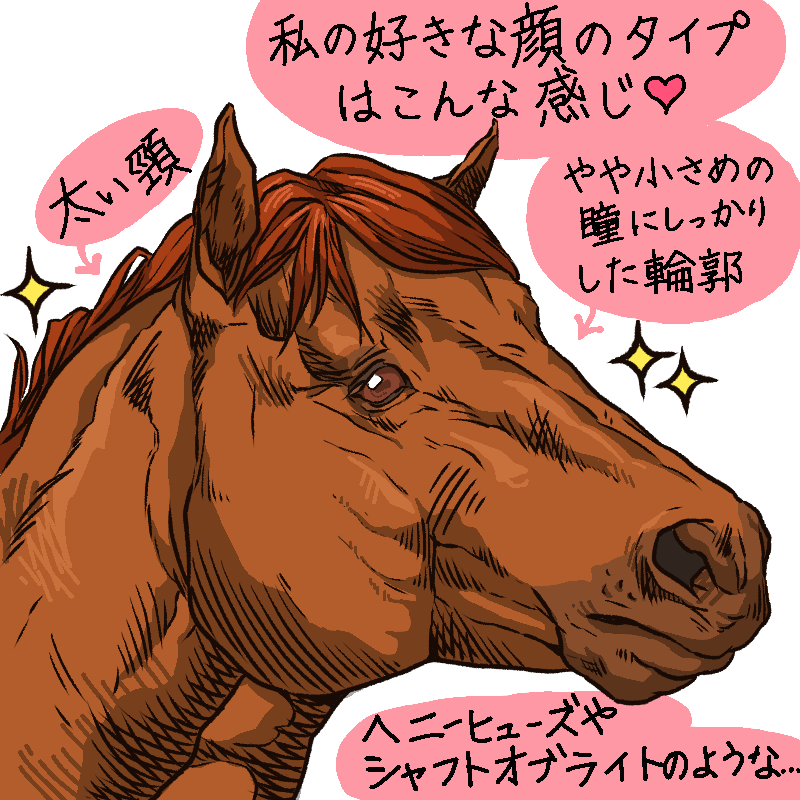 西郷トロ Twitterren 馬の顔もよく見ると一頭一頭違います ゴツゴツした馬 小顔でシャープな馬 よく接していると顔を見ただけでどの馬か分かるようになります ちなみに私は人もゴツゴツした男らしい人がタイプです 皆さんはどんな顔の馬が好きですか 馬