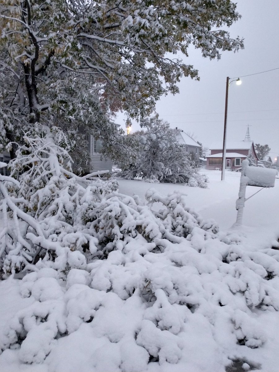 ctisom's tweet image. #Weather #NDLegendary #Blizzard
Branches falling last night sounded like ice cracking. Still snowing, but it's so heavy with moisture, it sounds like rain.