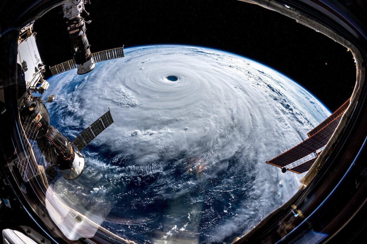 台風の目