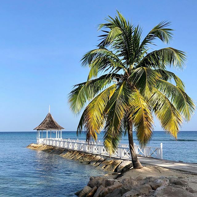 bluemoonescapes tweet media