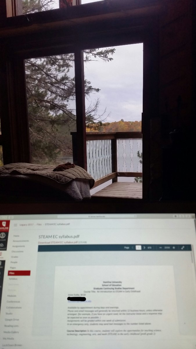 ADutke's tweet photo. It's 30 degrees &amp; snowing... perfect morning to work on finalizing my Hamline Course: Intro to STEAM in Early Childhood. Teaching as an adjunct instructor has been one of the most influential PD opportunities I have had, even more so than being a student in a course #PLSEA #PLSAS https://t.co/GvYYDvgCa1