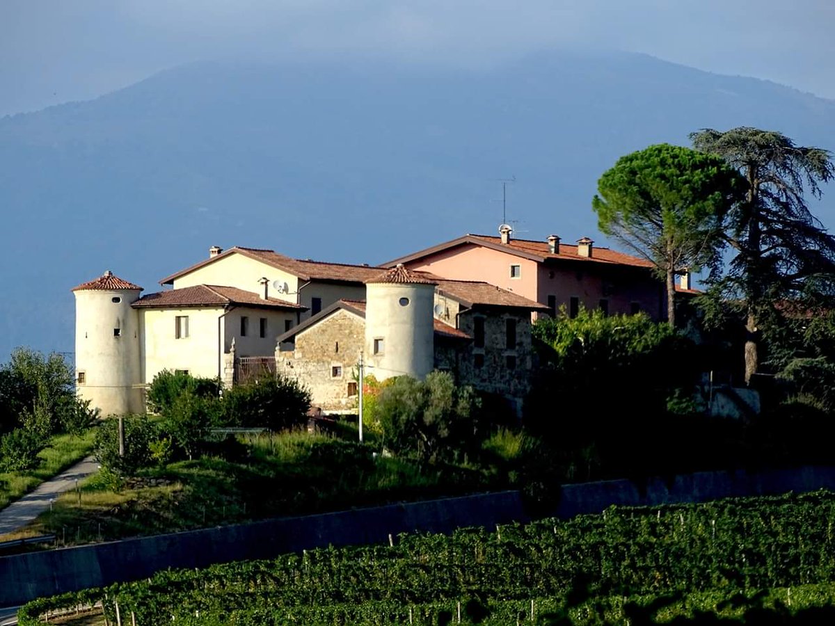 pauligurize's tweet image. Autunno nel Friuli Orientale

@FVGlive @MTVFVG @TurismoMiBACT @Italia_Turismo_  #FriuliOrientale @MauSbogar @pennaribelle @luatom @lestradedelvino @JurijPaljk @PaolaTreppo #spessa @ColliOrientali #prealpigiulie