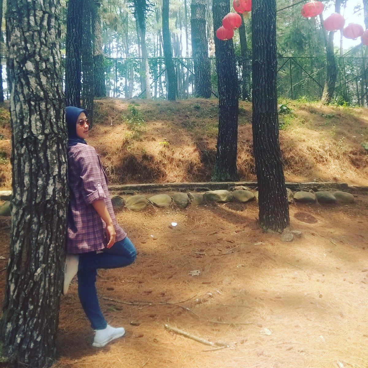 ucciandriani's tweet photo. https://t.co/iZyDE98Go3