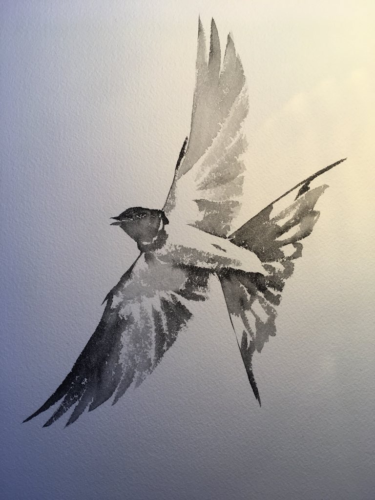 Print Swallow Pencil Drawing of Swallow in Flight - Etsy Australia