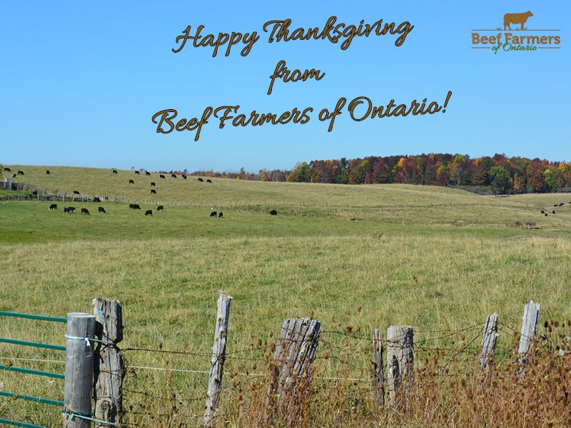 BeefFarmersON's tweet image. Enjoy this beautiful #fallweekend from BFO!