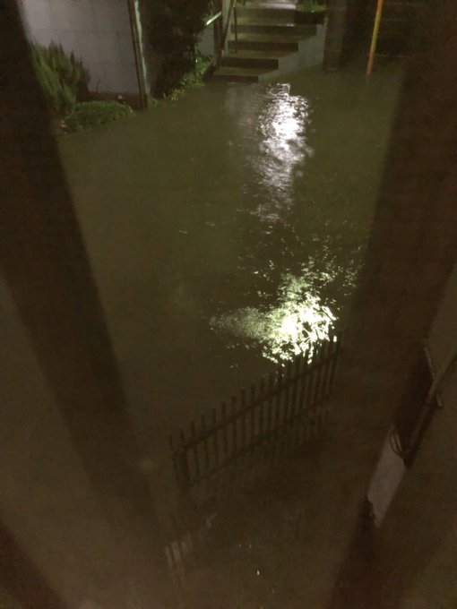 画像 黒目川は台風19号の影響で氾濫危険水位に達した 現地画像まとめ まとめダネ 画像 黒目川は台風19号の影響で氾濫危険水位に達した 現地画像まとめ まとめダネ