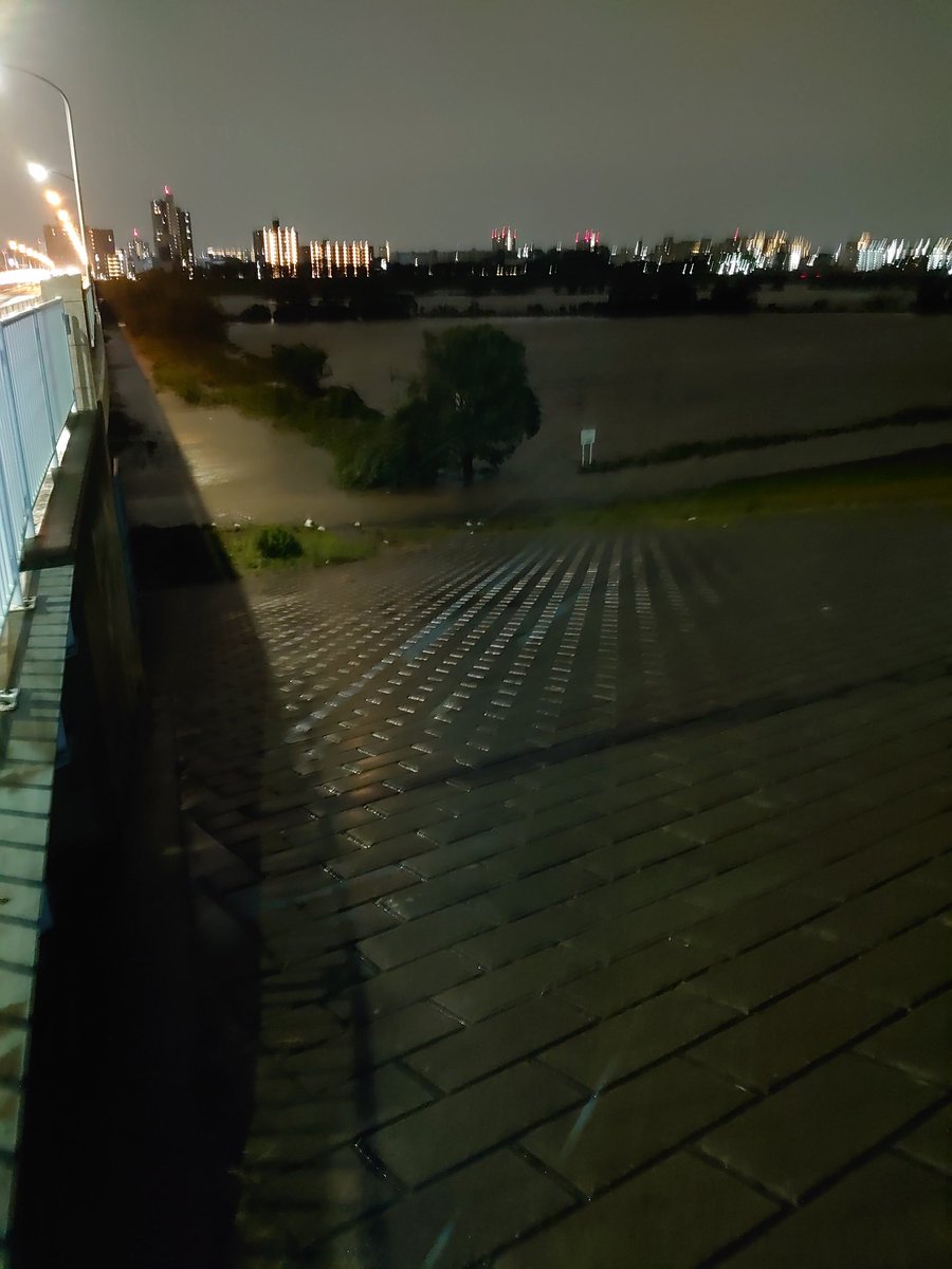 avenger_isumi's tweet photo. 雨風収まったんで赤羽大橋の荒川見てきました！
川口赤羽ラインの荒川はこの分だと大丈夫そうですね！ https://t.co/kRKKOs2kga