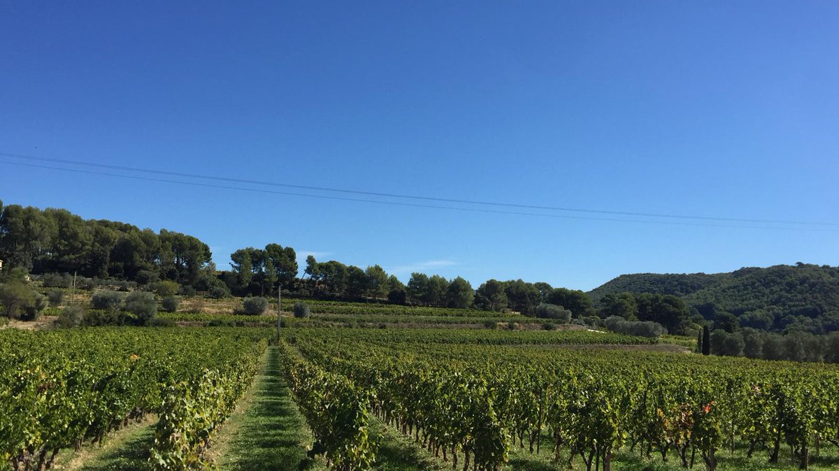 OlivesVines's tweet photo. Even though we're heading into mid-October, the weather has still been superb at Mas du Brulat. If you'd like to book a last-minute getaway for a few days, we'd love to welcome you to our hotel! Find out more at https://t.co/P0n8O0Z6hS

#octobergetaway #autumnsun #provence https://t.co/EyThguvdNj