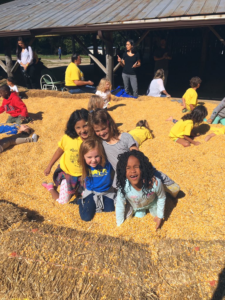 msfergusons1st's tweet photo. Corn mazes, creek exploring, and baby farm animals make for an epic field trip! This will always be one of my favorites. ☺️🌿🐮🐥🌽 @hickorynutgap #clxleaders #theacsway https://t.co/8c43ih5u9b