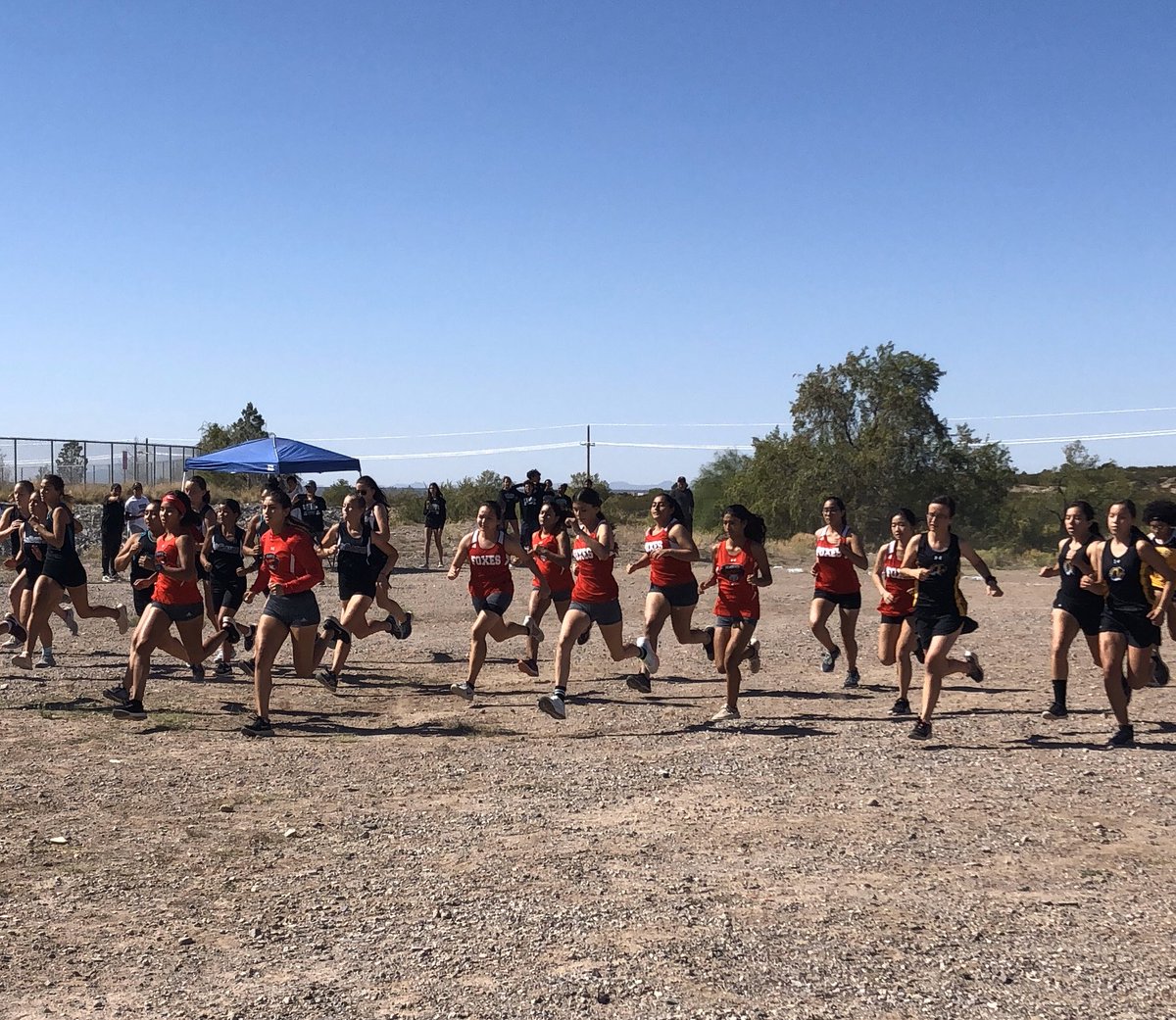 Girls Open division takes 1st place at the Centennial Meet in Las Cruces. Way to run ladies!! 🏃🏻‍♀️🦊🏃 #wearesilverfoxes #run #xc <a href="/viva_lajeff/">J/S Silver Foxes</a>
