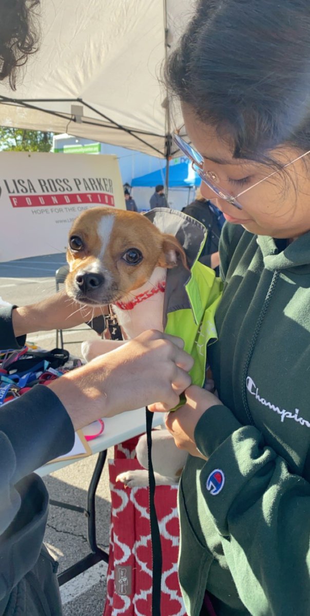 MariaBarcena6's tweet photo. We love giving back to the community. T-Mobile and the Nashville Pet Community Center helping with free vaccinations for our loving pets @TMobile @JohnLegere @AppletonChad @bcrittenden007 https://t.co/y65f4etmaO