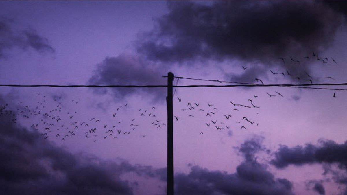 من مدة قصيرة بدأت الأخذ بنصيحة لعمر بن الخطاب -رضي الله عنه- يقول فيها: "عاملوا الناس بما يظهرونه لكم والله يتولى مافي صدورهم" لا أدقّق في قول، ولا أنبش في فعل، ولا أخوض في تفصيل. والأمر مريح والفرق واضح.

✨🕊