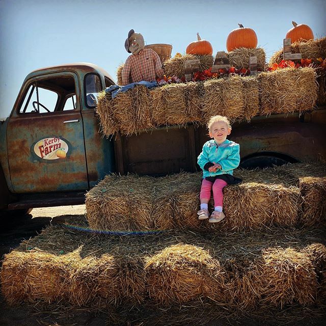 jdherder's tweet photo. Went out to #kerbyfarmpumpkinpatch🎃 today, lots of fun things for Amelia to do! https://t.co/4s6hICqO6i
