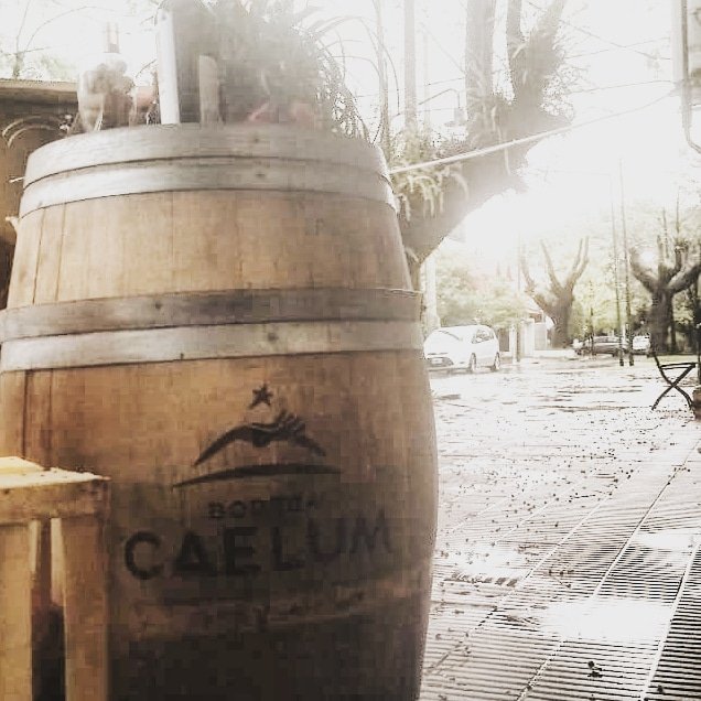 En <a href="/paladar_noir/">Paladar Noir 🐶🍷</a> el Cielo, la Tierra y el Agua... Los tres elementos en el mismo lugar. El fuego lo aportás vos
<a href="/BodegaCaelum/">Bodega Caelum</a> #ElVinoUne #Caelum #Cielo #Tierra #Agua #Fuego #Vino