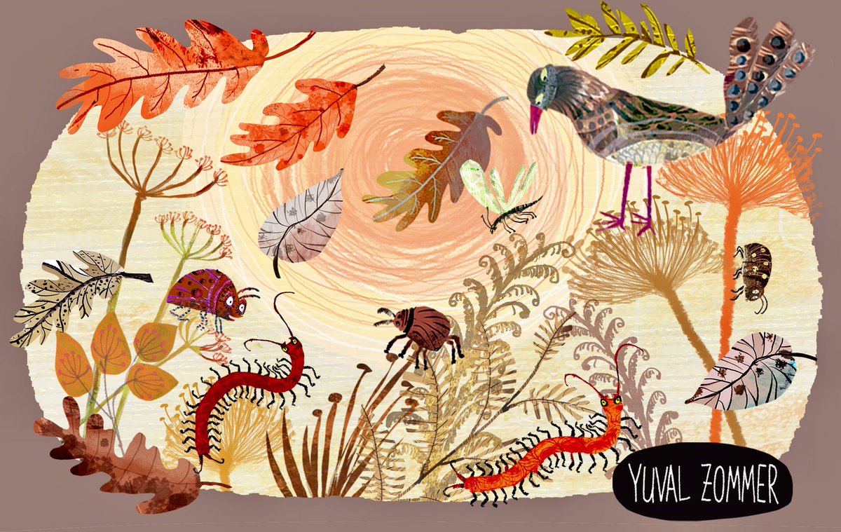 Autumn now here, there and everywhere 🍃🍂🍁 #time4nature #autumnvibes