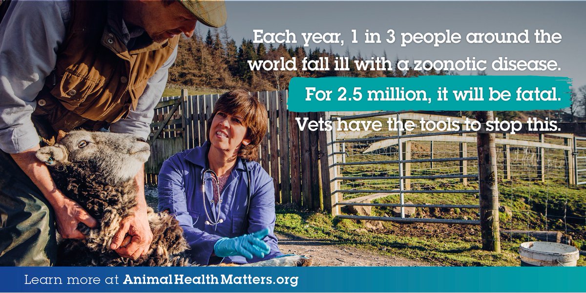 This year, 1 in 3 people worldwide will fall ill with a #zoonotic disease 🌏

For 2.5 million, it will be fatal 💔

But vets have the tools to stop this.

Vaccinations, nutrition, biosecurity, antibiotics, and more.

Support veterinarians in their fight to protect #AnimalHealth!