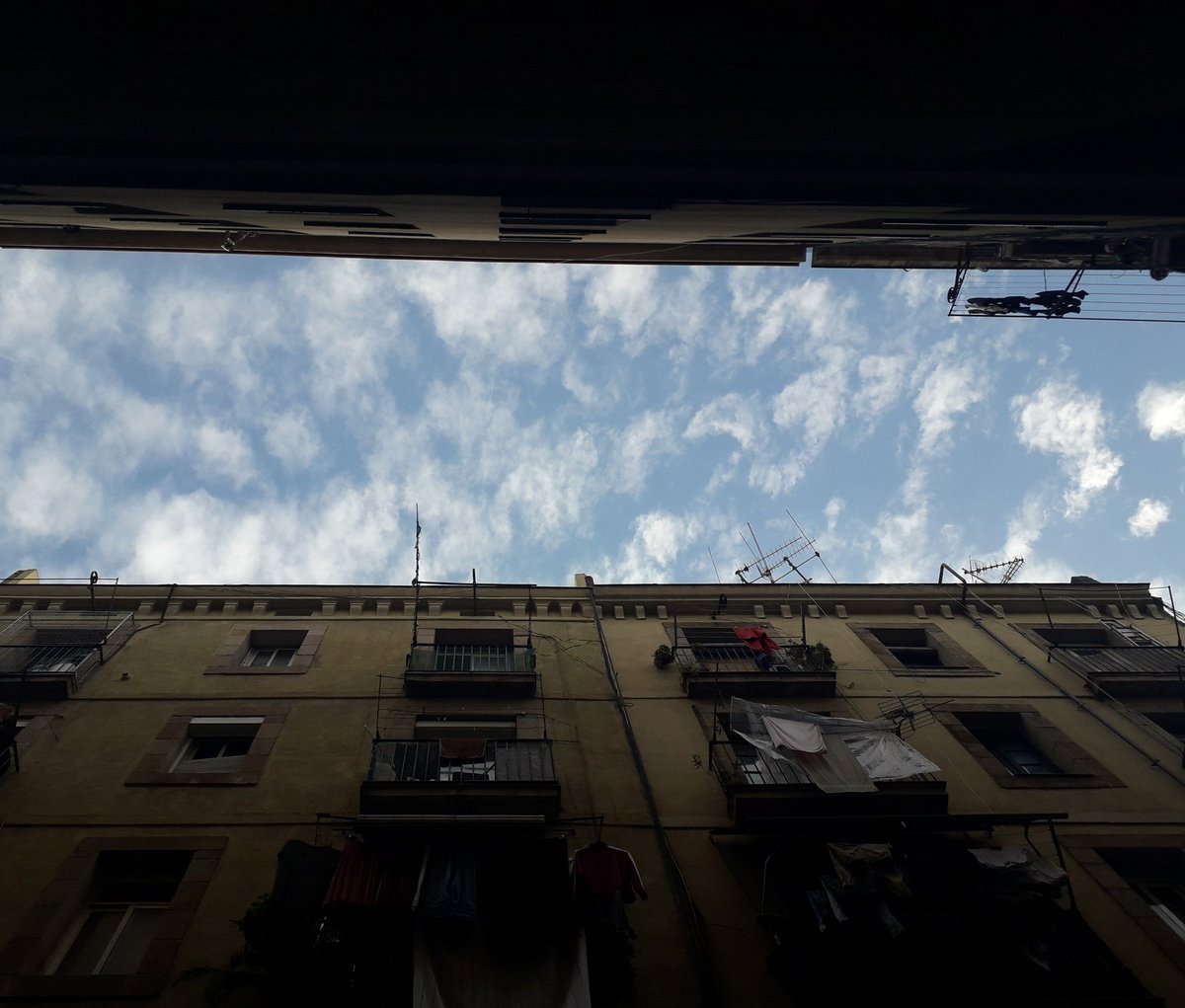 Obra Social BCN tweet media