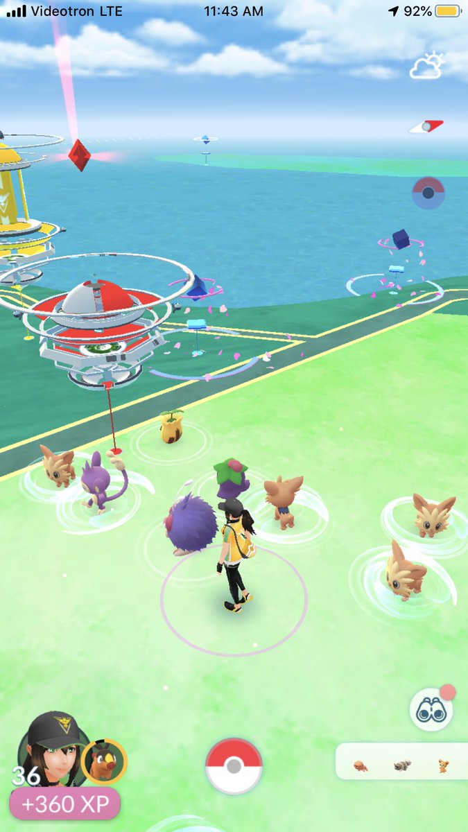 GabeDuro's tweet photo. Are we really sure it isn’t Lillipup’s community day? 😫 #PokemonGO #CommunityDay #pokemon https://t.co/e9LcI3zL1j