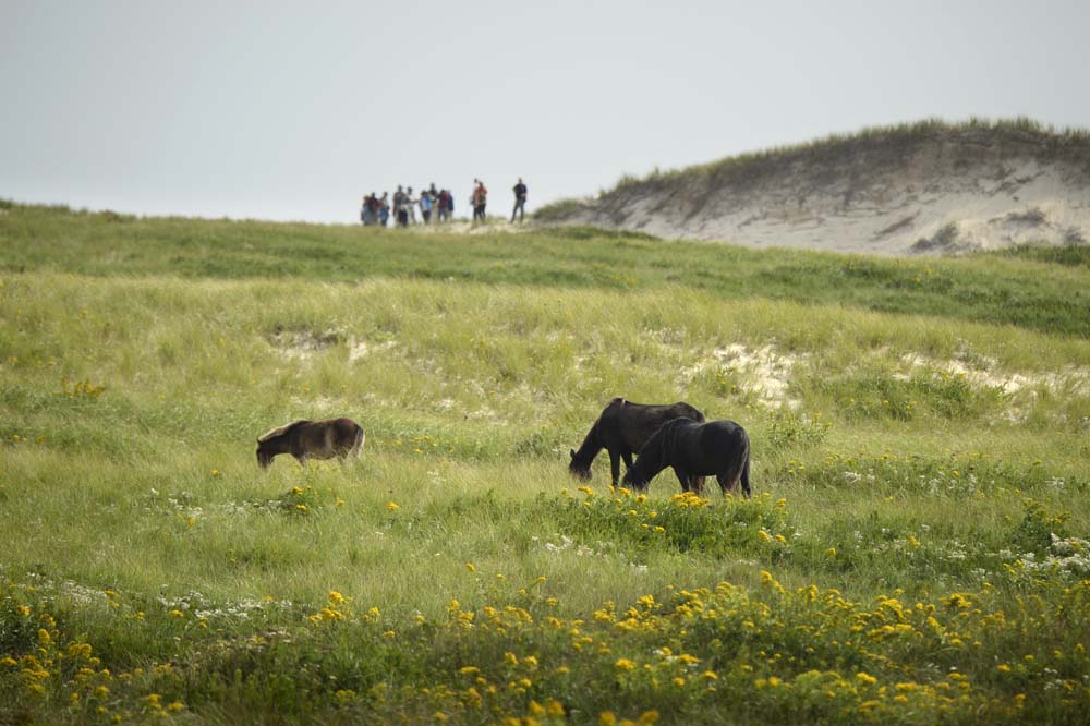 OneOceanExpeditions (@oneoceanexp) on Twitter photo Budding cartographer and photographer Timothy won a trip to Canada's East Coast in the <a href="/CanGeo/">Canadian Geographic</a> Challenge. Here is his photo essay. You are never to young to start honing your photography skills and we think young Timothy has talent! bit.ly/2q6ALmr Budding cartographer and photographer Timothy won a trip to Canada's East Coast in the <a href="/CanGeo/">Canadian Geographic</a> Challenge. Here is his photo essay. You are never to young to start honing your photography skills and we think young Timothy has talent! bit.ly/2q6ALmr