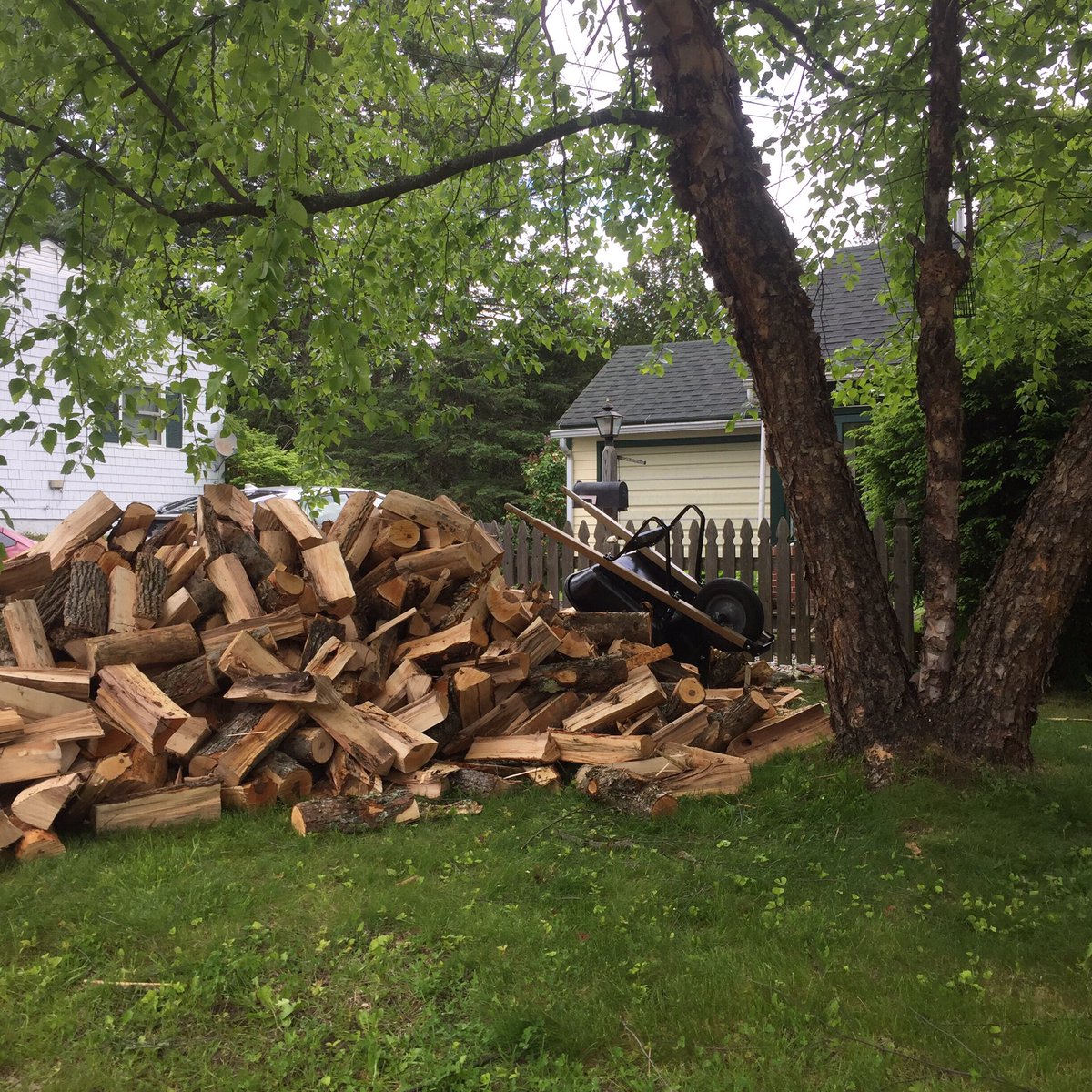 Lots of firewood being delivered lately! Did you know that when VTers heat w/fossil fuels, 78 cents of every $ spent leaves VT? But w/locally sourced wood fuels, the money stays here - retaining local wealth, creating jobs for our neighbors, &amp; keeping forests forests. #ThisIsVT