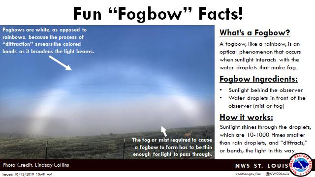 NWSStLouis's tweet photo. #SciencePost: This morning, one of our Facebook followers sent us an amazing picture of a “fogbow” in southern Missouri. Never heard of a fogbow before? Impress your friends and learn more about this interesting cousin of the 🌈! #MOwx #ILwx #STLwx #rainbow #fog https://t.co/TfFtPbpLM7