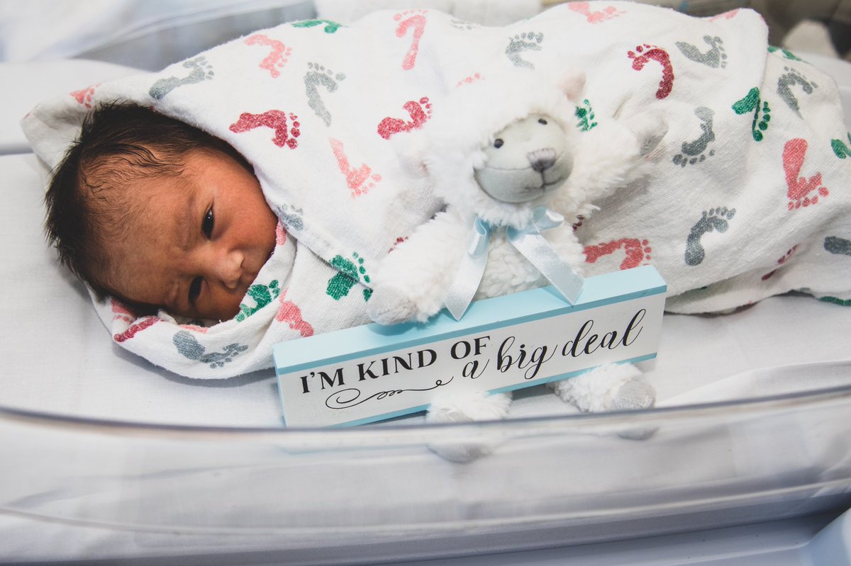 cgphotography15's tweet photo. FRESH 48 PICTURES: I had the pleasure of meeting Jordi yesterday! Welcome to the world sweet boy!!
#cgphotography15 #canon #dfwphotographer #newborn #Fresh48 #BabyBoy #OctoberBaby #LittlePumpkin https://t.co/pkNbI3dNt2