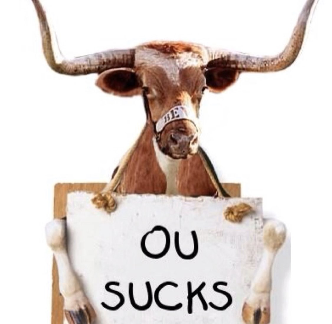 infosecwar's tweet photo. Guess what time it is? Doesn’t matter because #OUStillSucks! #HookEm Go #Longorns! #RedRiverRivalry https://t.co/XNPub33W7S
