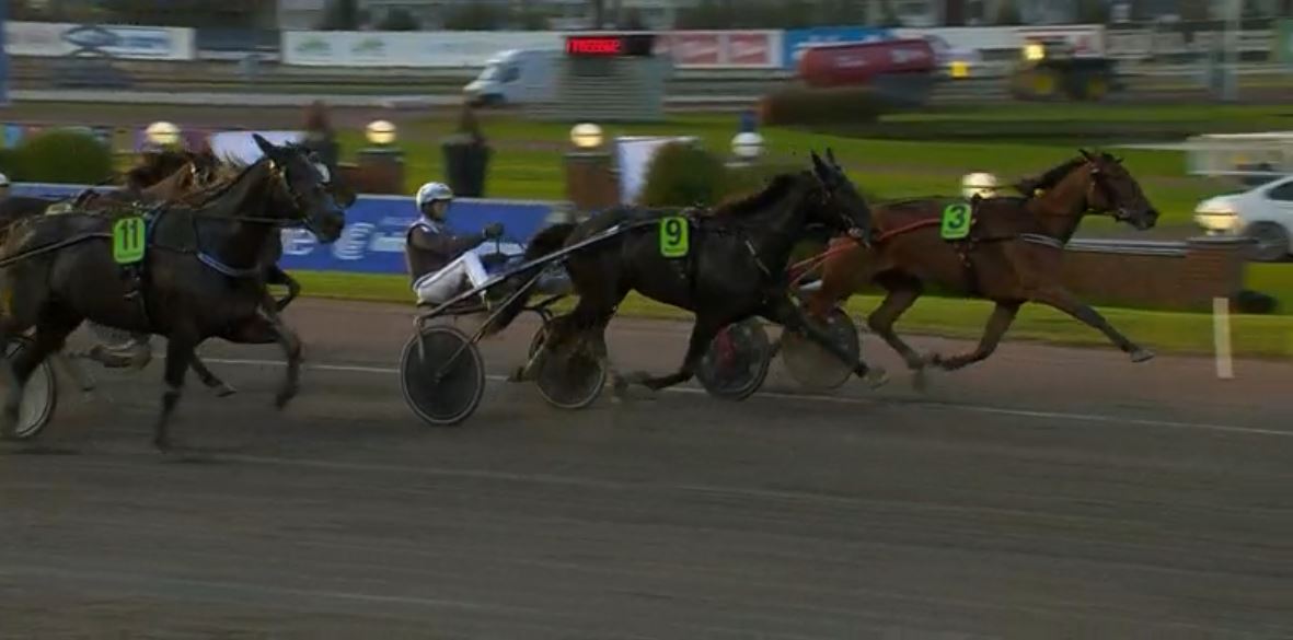Joe_Zagari's tweet photo. #GlobalUpperStyle ๐ธ๐ช #SJsCaviar won #StoSM 2019๐Group 2โฃ on @abytravet ๐ธ๐ช with @ulfohlsson1964 & @UStable โฑ๏ธ 1.12.4 on 2140 over #CashCrowe and #SpeedyFoxyVicane https://t.co/4tUz9zmJLc