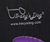 thisisashowpod's tweet photo. oh man... what does tracy's dog have to do with anything? episode 12 is heading your way to your favorite streaming devices this afternoon! https://t.co/RU8ErtgjIQ