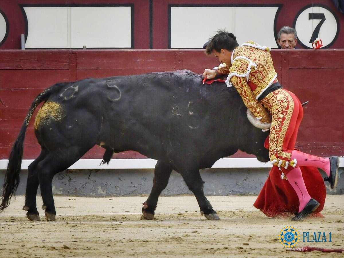 Foto cedida por Las Ventas