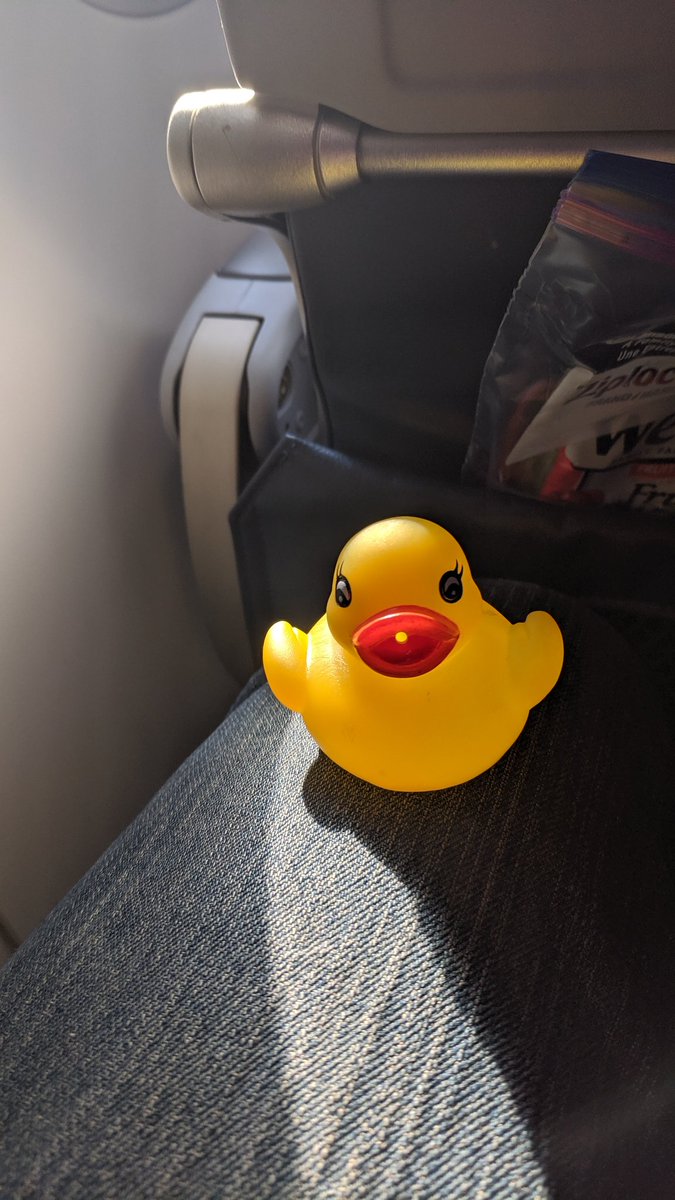 sleeep20's tweet photo. Had a surprise travel companion pop out of my bag on my trip to the @ArmyTenMilerATM . Thanks @SweetLonicera ! #DuckArmyInvasion https://t.co/CL9iQryJ1g