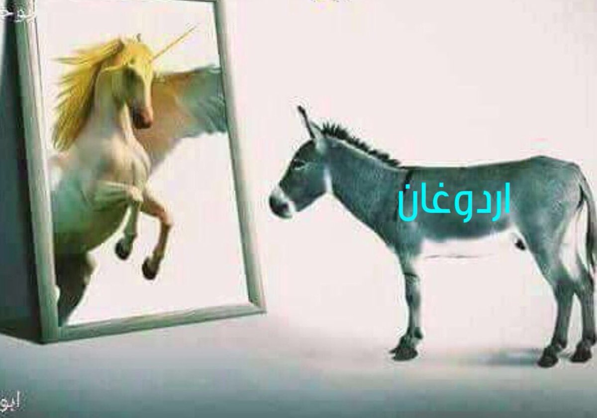 Subai'i tweet media