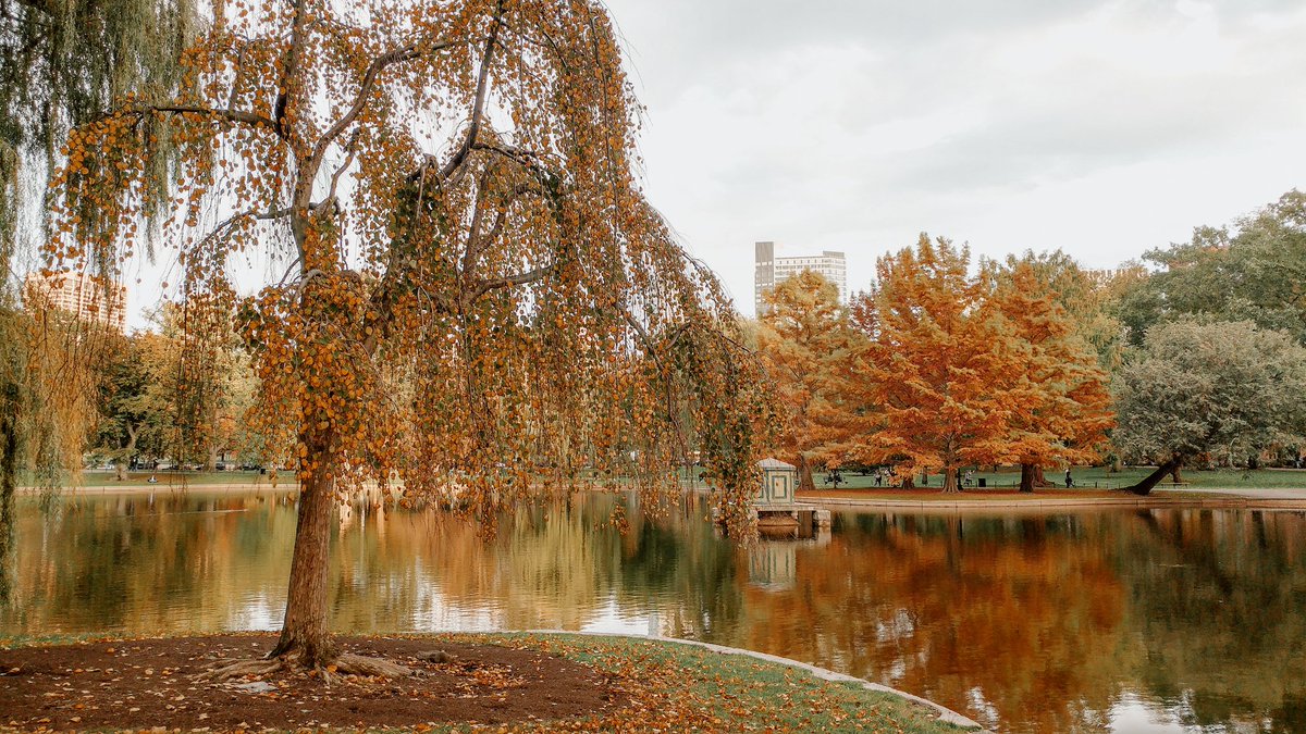 VNCassetto's tweet photo. L'autunno è la mia stagione preferita!
@momondo mi ha fatto ripensare alle mie méte autunnali preferite e non ho dubbi: 
#NewYork 
#Boston 
#Praga  
#Madrid 
E voi? Dove vi porterà l'autunno?😊
#owtravelers
#admomondo

✈️ Per trovare voli last minute https://t.co/PeywfTNvXK✈️ https://t.co/n0A34PMMFx