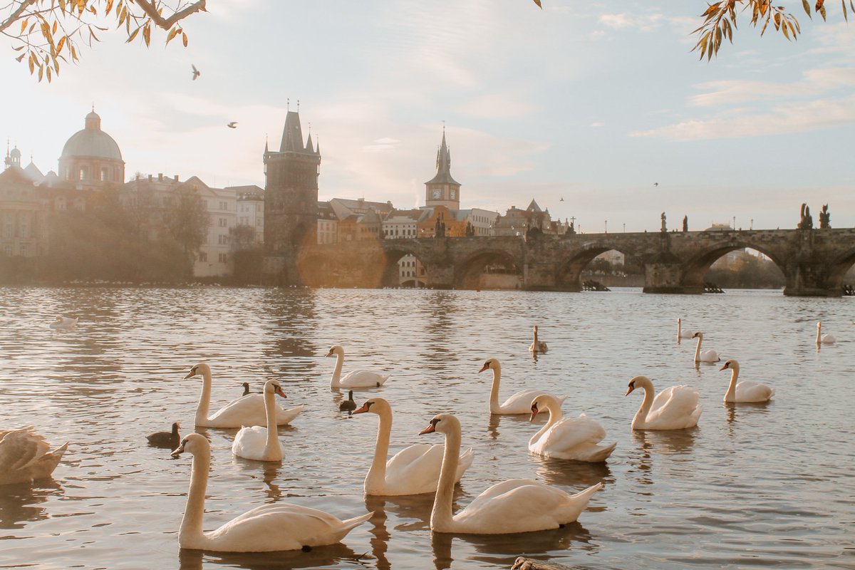 VNCassetto's tweet photo. L'autunno è la mia stagione preferita!
@momondo mi ha fatto ripensare alle mie méte autunnali preferite e non ho dubbi: 
#NewYork 
#Boston 
#Praga  
#Madrid 
E voi? Dove vi porterà l'autunno?😊
#owtravelers
#admomondo

✈️ Per trovare voli last minute https://t.co/PeywfTNvXK✈️ https://t.co/n0A34PMMFx