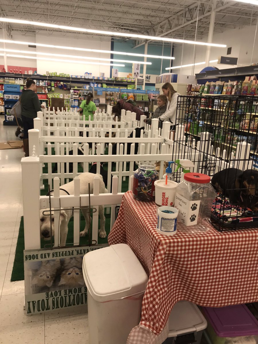 Petsmart 0255 tweet media