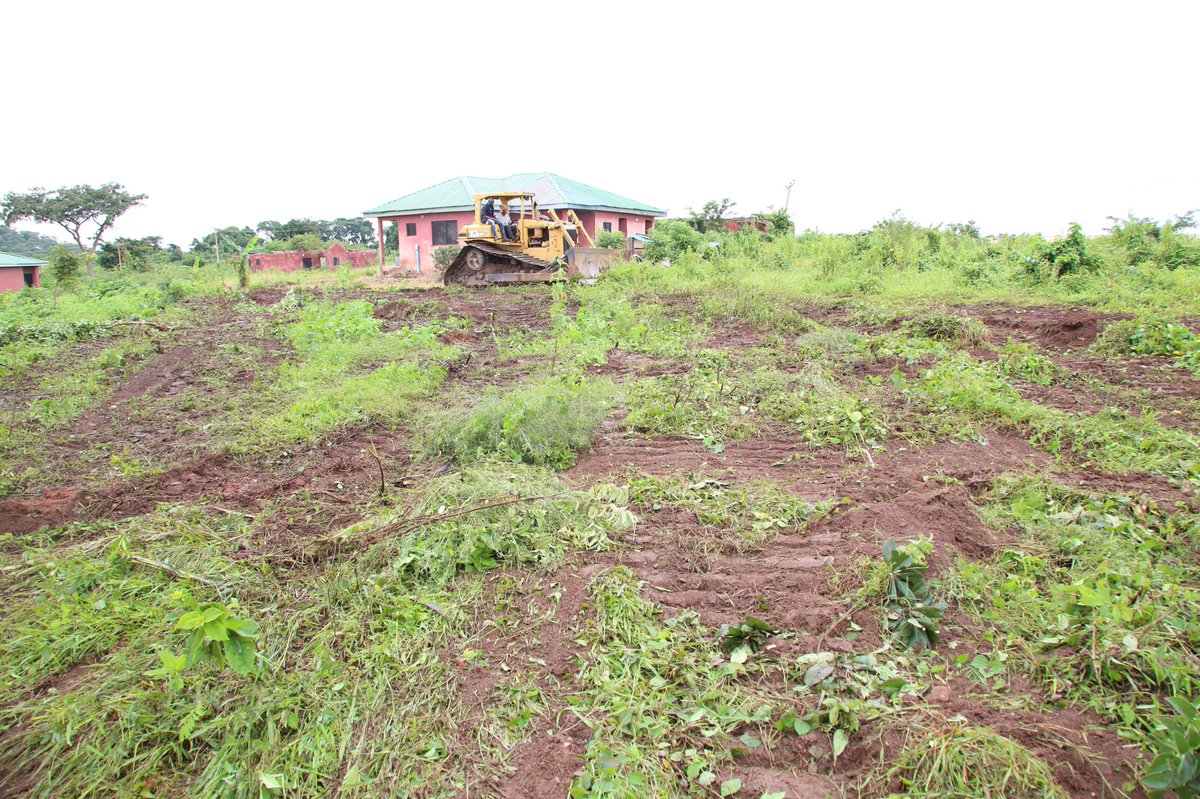 Land clearing and farm house renovation in progress. Fingers crossed, planting will start next month. We need to close multiple issues: financing/shareholding, land prep, recruitment and infrastructure upgrade.