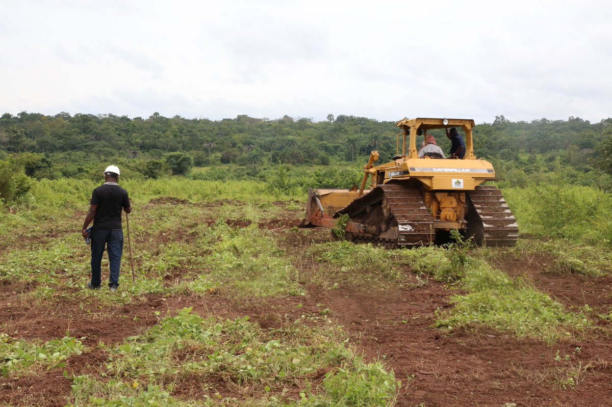 Land clearing and farm house renovation in progress. Fingers crossed, planting will start next month. We need to close multiple issues: financing/shareholding, land prep, recruitment and infrastructure upgrade.