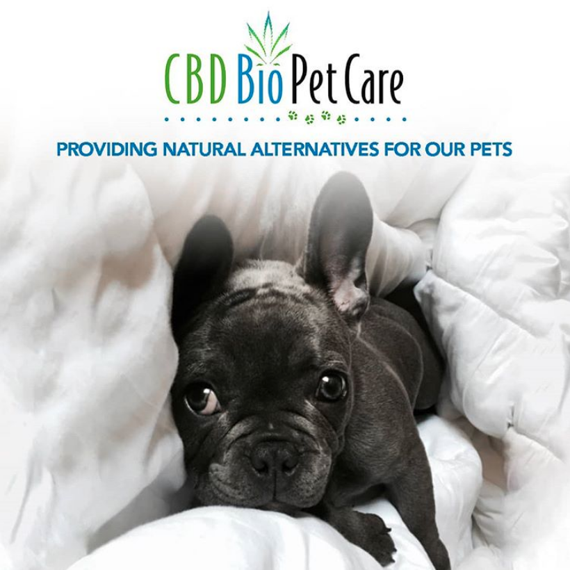 cbdforsale's tweet photo. #cbdforpets #cbdfordogs #cbdforcats #cbdproducts #cbdbenefits #cbdsaves #cbdlifestyle #cbdsaveslives #cbdmedicine #cbdextract #cbdforanxiety #cbdforsleep #cbdforpain #cbdforstress #cbd #cbdbiocare #cbdoil #alternativemedicine #cdblife #cbdfullstrectrum #cbdcures #cbdcommunity https://t.co/m8hzHYN45v